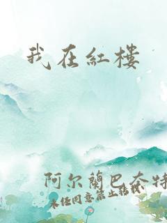 我在红楼