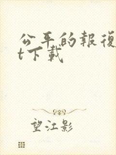 公平的报复txt下载