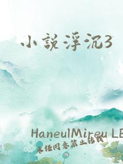 小说浮沉3