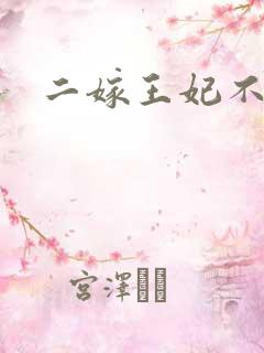 二嫁王妃不好惹