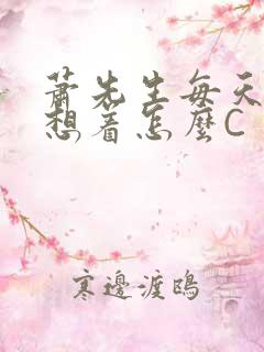 萧先生每天都在想着怎么C