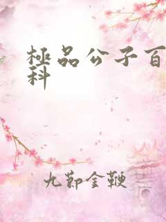 极品公子百度百科