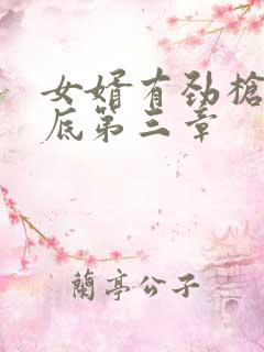 女婿有劲枪枪到底第三章