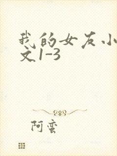 我的女友小洁全文1-3
