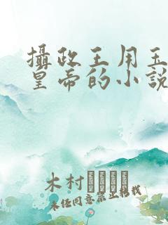 摄政王用玉髓整皇帝的小说