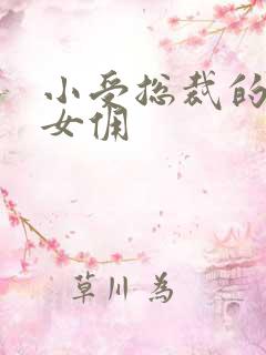 小受总裁的野蛮女佣