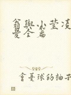 翁与小莹凌晨欢爱全篇