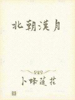 北朝汉月