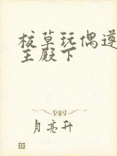 校草玩偶遵命公主殿下