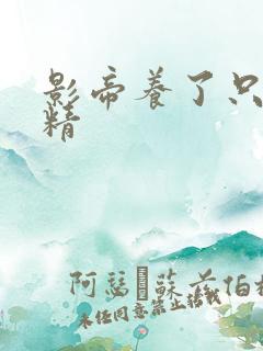 影帝养了只兰花精