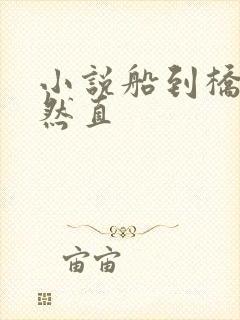 小说船到桥头自然直