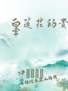 白莲花的贵妇日常