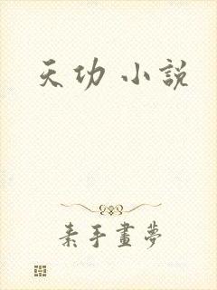天功 小说