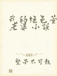 我的绝色董事长老婆 小说