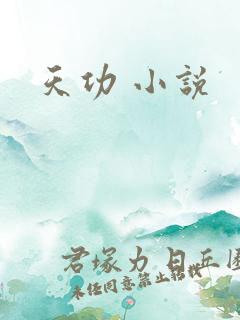 天功 小说