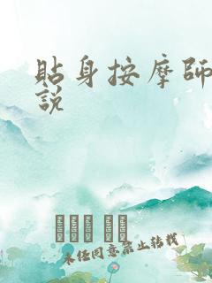 贴身按摩师 小说