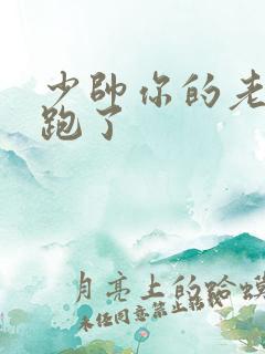 少帅你的老婆又跑了