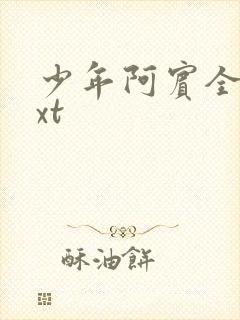 少年阿宾全集txt