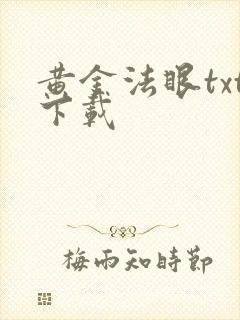 黄金法眼txt下载