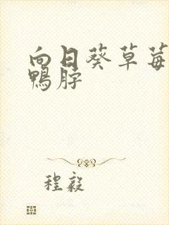 向日葵草莓丝瓜鸭脖