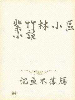 紫竹林小区快递小说