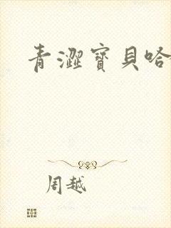 青涩宝贝哈烧恋