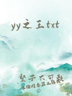 yy之王txt