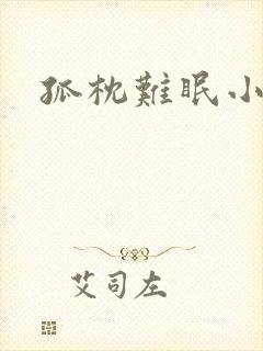 孤枕难眠小说