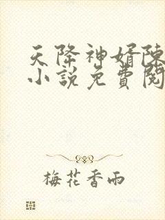 天降神婿陈黄皮小说免费阅读