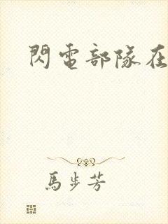 闪电部队在行动