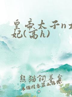 皇帝太子n太子妃(高h)