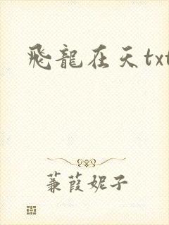 飞龙在天txt