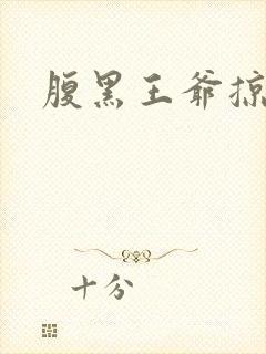 腹黑王爷掠邪妃