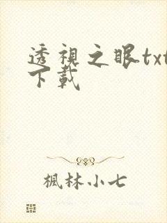 透视之眼txt下载