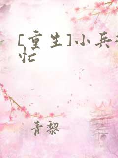 [重生]小兵很忙