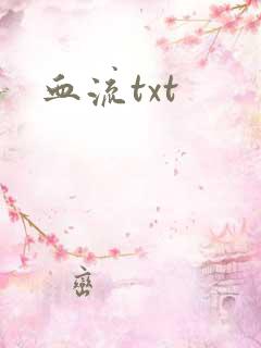 血流txt