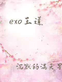exo王道