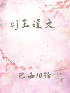 sj王道文