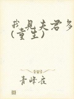 我见夫君多冷清(重生)