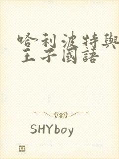 哈利波特与混血王子国语