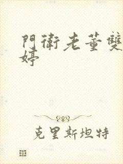 门卫老董双飞陈婷