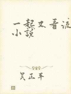 一起又看流星雨小说