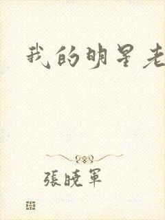 我的明星老豆