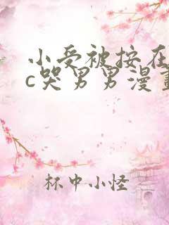 小受被按在墙上c哭男男漫画