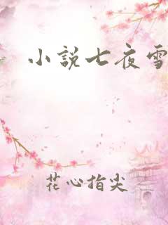 小说七夜雪下载
