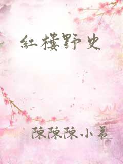 红楼野史