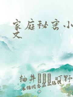 家庭秘密小说全文