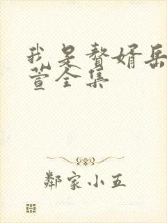 我是赘婿岳风柳萱全集