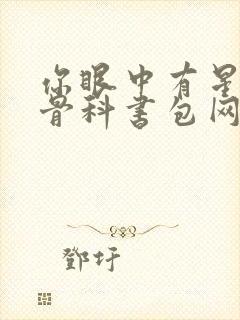 你眼中有星辰h骨科书包网