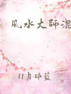 风水大师混官场